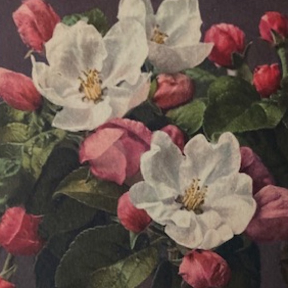 Happy Poshing! - Picture 1 of 16